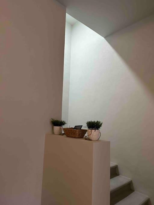 Casa Privada En Villa Bricia Cuernavaca Dış mekan fotoğraf